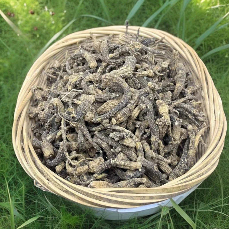 穆康仁老山参中缅土特产