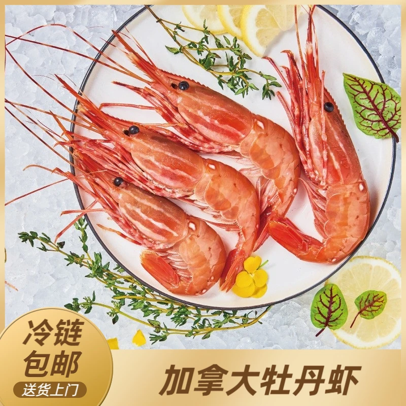 加拿大牡丹虾 1kg/盒 加拿大原装进口 鲜甜冷冻大虾 食用海鲜水产