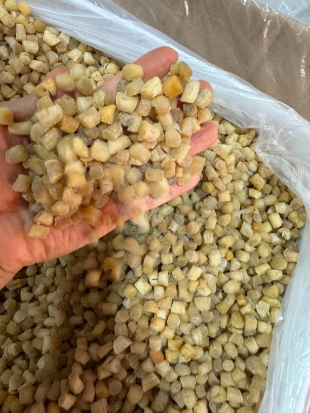大连干贝小颗粒福利～海鲜海产扇贝鲜见肉干货淡干500g