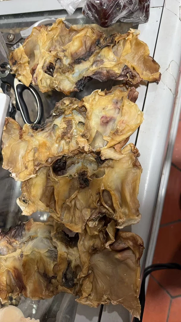 福建半咸水鱿鱼头买三送一海产干货新鲜淡水煲汤