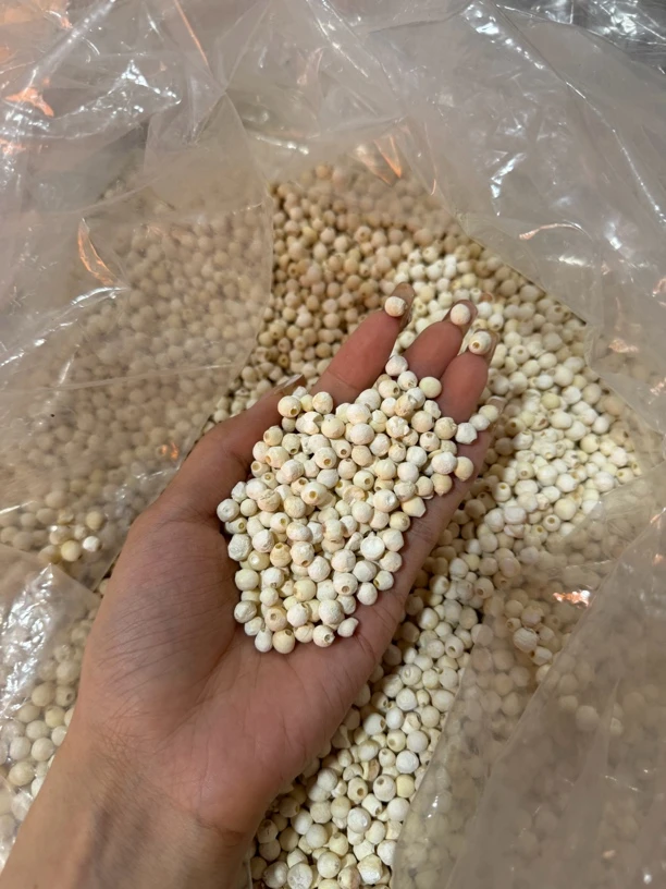 【苏州苏芡中小福利！】正宗新鲜干货农家500g鸡头米去皮苏州