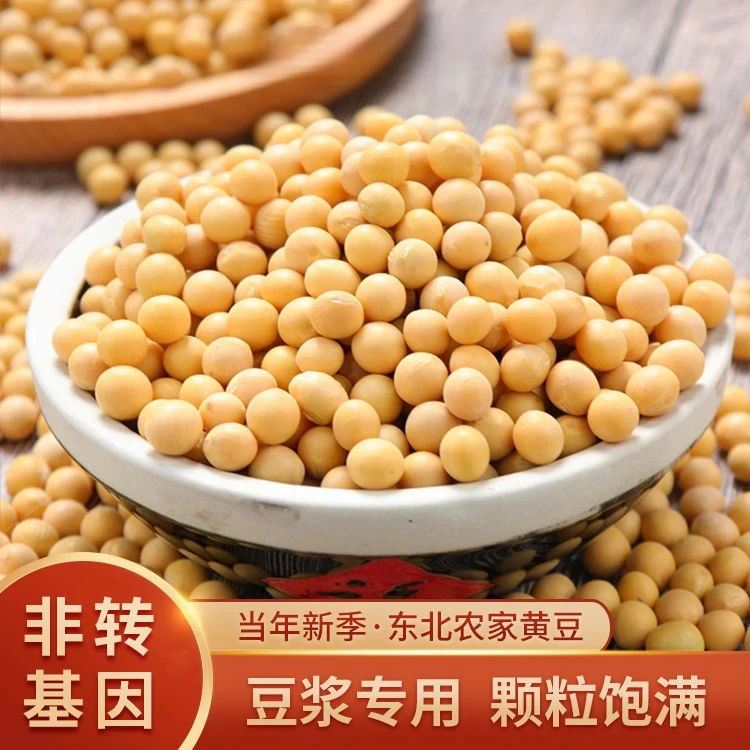「2024年新货」东北农家特产非转基因大豆黄豆5斤打豆浆用黄豆
