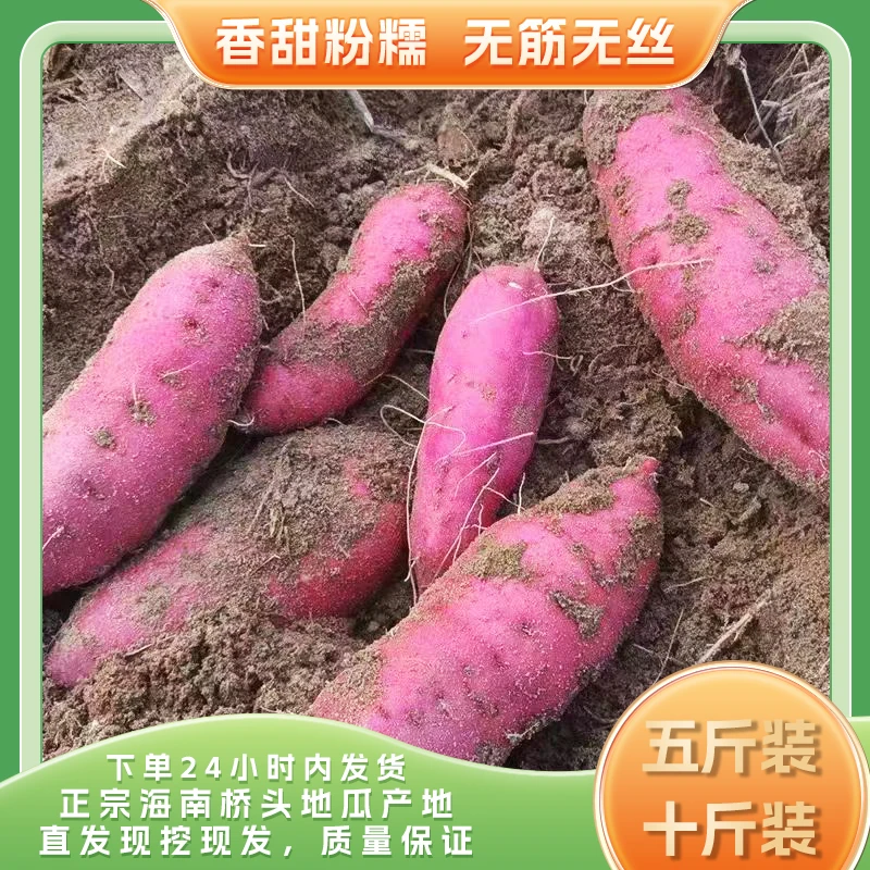 无品牌正宗桥头地瓜小果40克-60克（正宗海南富晒地瓜）