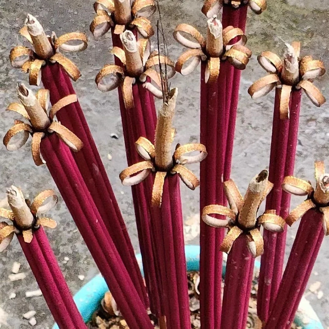 【花开富贵香】檀香香供佛香家用天然观音香重阳供香香过年春节