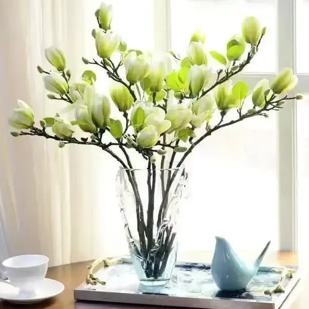 【春节开花】水培玉兰花卉室内水培客厅办公室内鲜切花开枝条绿植花