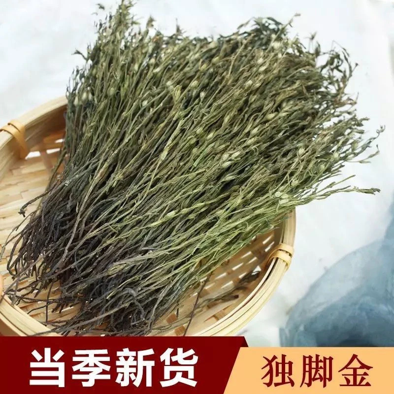 独脚金 疳积草小儿汤包独角柑草独脚金新货枣 孩儿草10g-100g