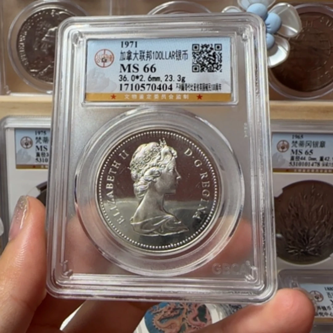【闪购商品】银币，