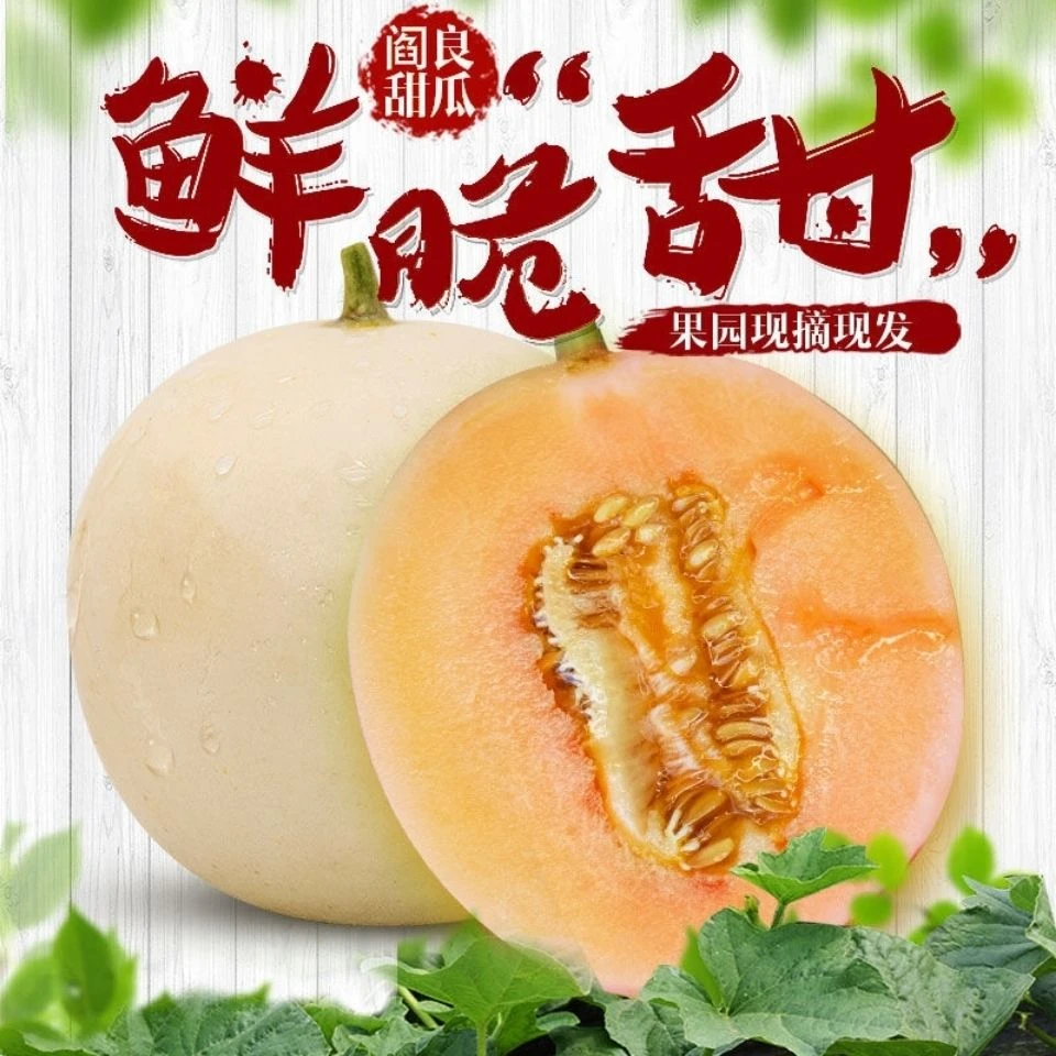 正宗陕西阎良甜瓜红肉蜜瓜2一3一5一9斤装多数地区包邮