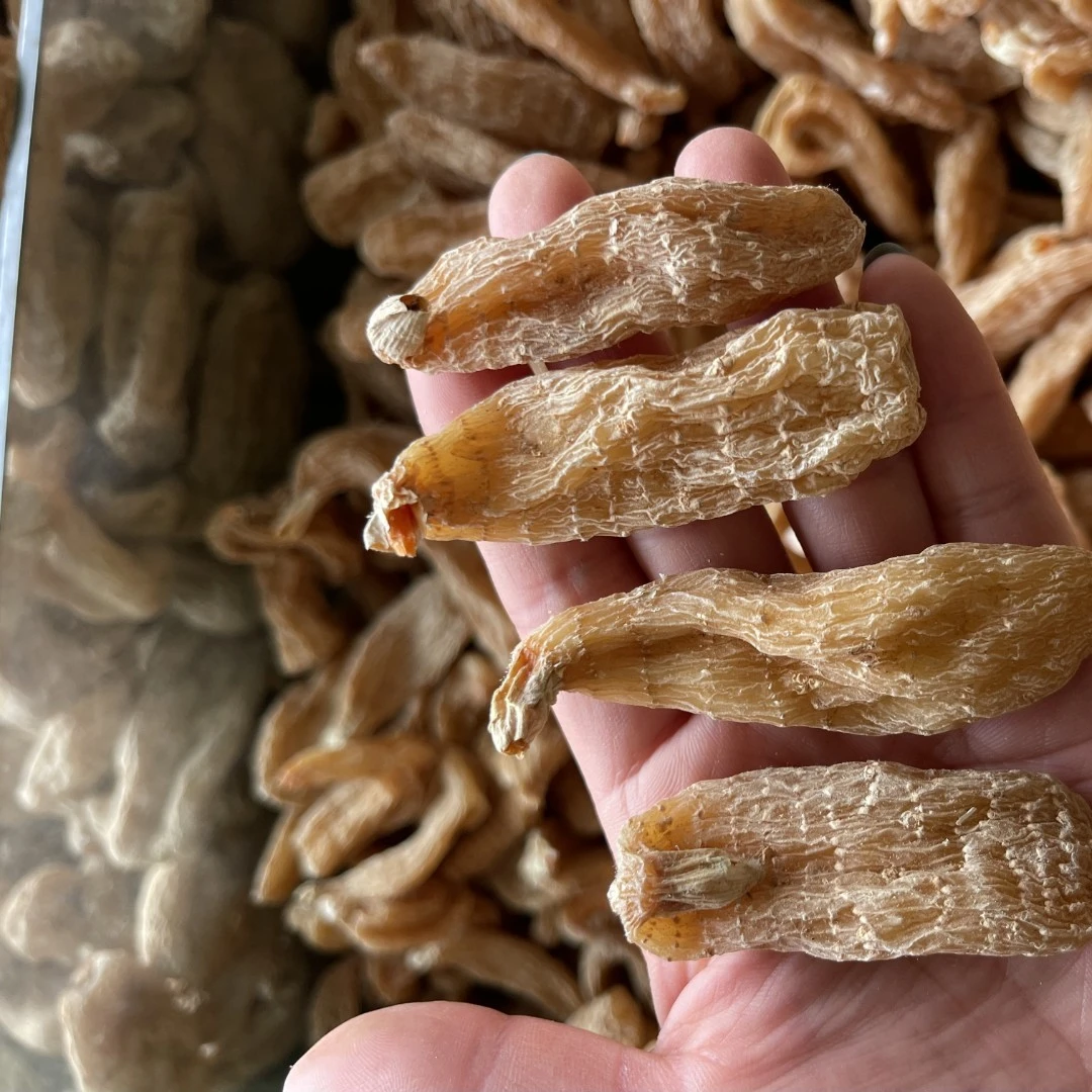 长白山  钱总推荐 天嘛  250克/500克