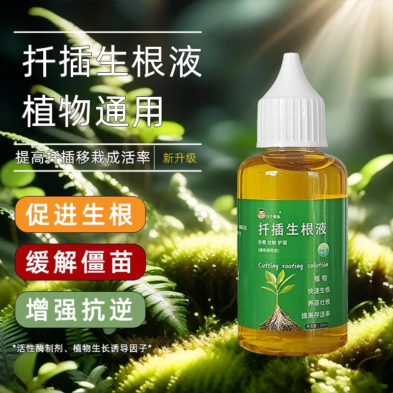 快速生根液通用型扦插花卉月季多肉盆栽养花专用强力水培促生根