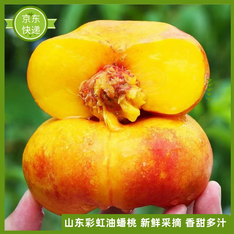 【京东快递】山东蒙阴彩虹油蟠桃彩箱新鲜现摘皮薄香甜多汁爽口