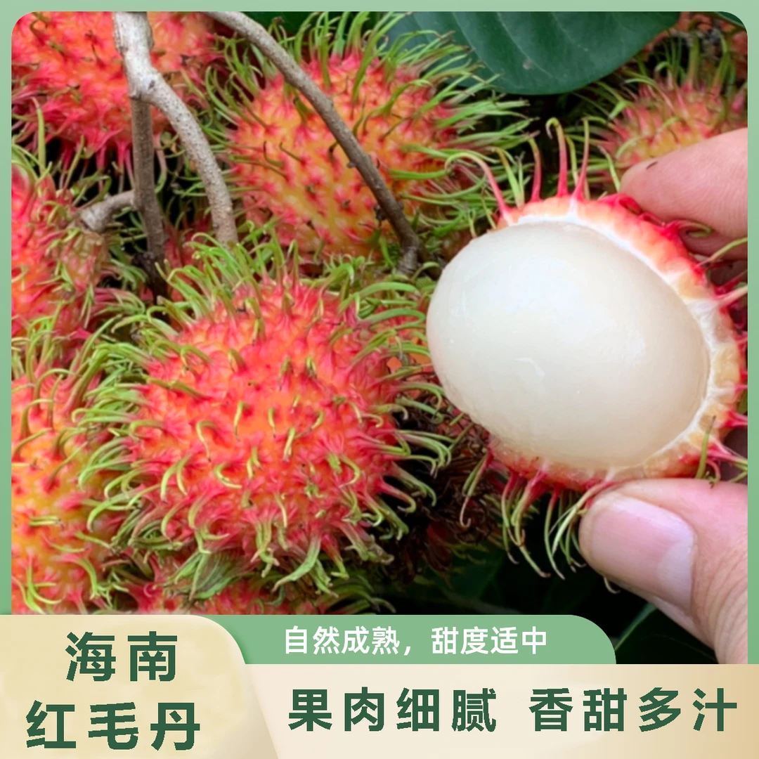 【顺丰快递】海南保亭红毛丹 毛荔枝热带水果7号果头茬 新鲜水果3斤