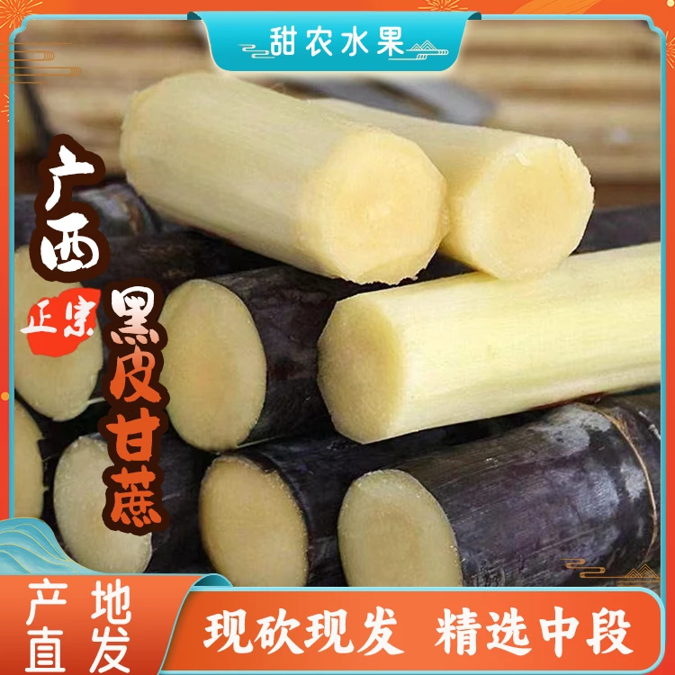 【直播专享】广西黑皮甘蔗新鲜现砍现发应季水果香甜多汁整箱包邮