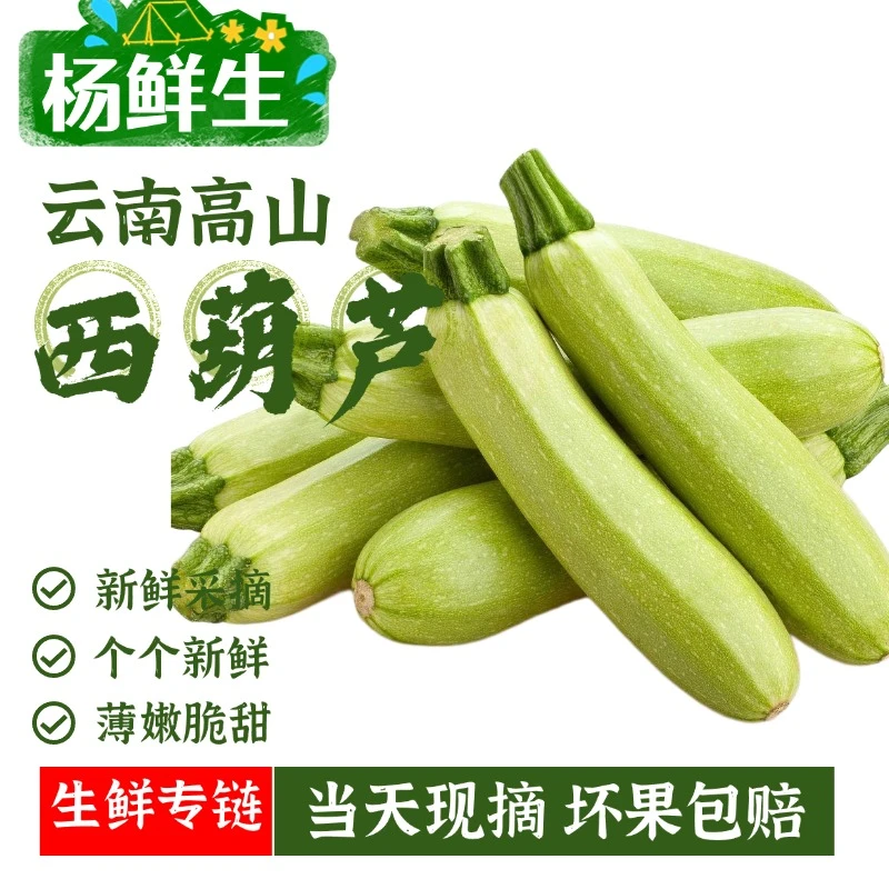 【现摘现发】云南露天种植新鲜西葫芦小瓜角瓜倭瓜脆甜爽嫩坏果包赔