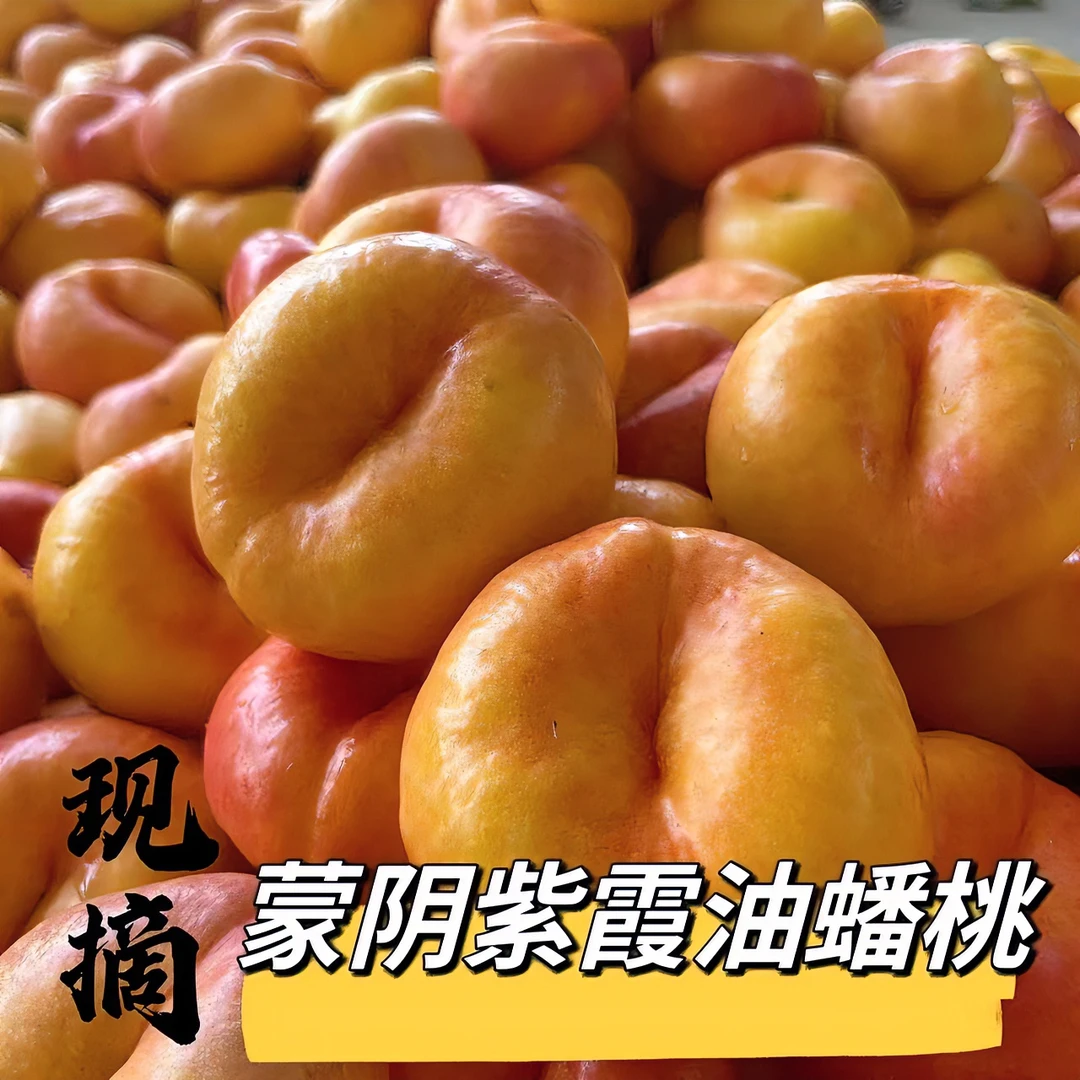 蒙阴蜜桃采摘紫霞油蟠桃4.5斤装彩虹油蟠桃山东临沂蒙阴黄金蟠桃