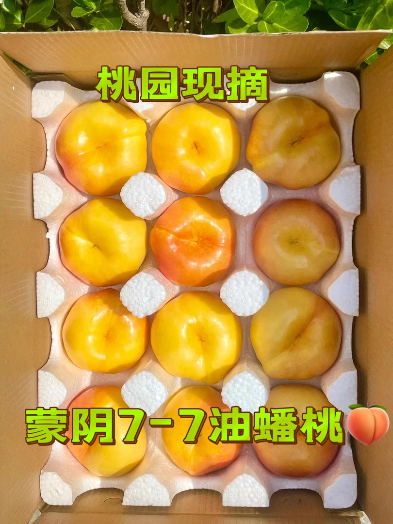 蒙阴蜜桃【中油7-7彩虹黄油蟠桃】原产地现摘现发新鲜包赔