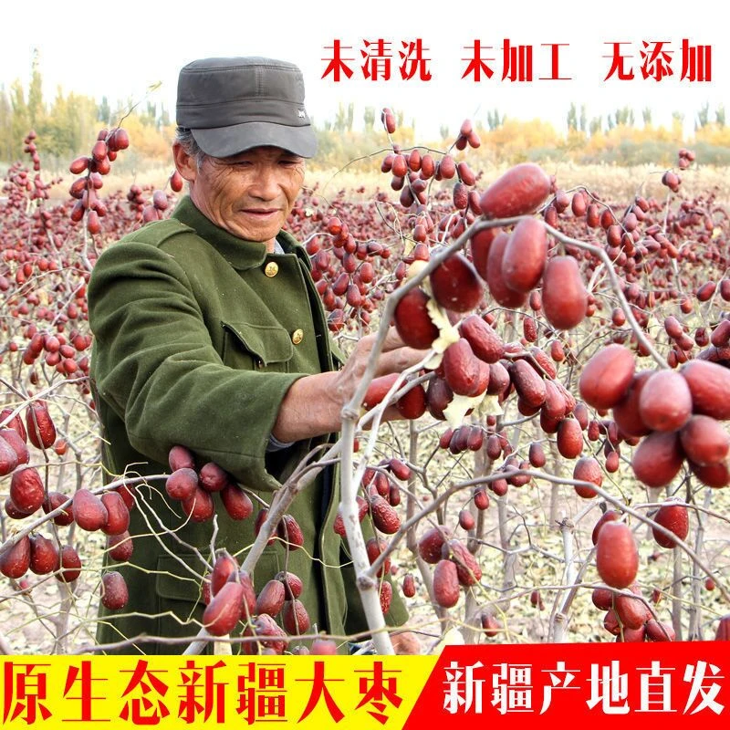 （人工精选中果）新疆灰枣红枣新疆原产地直发5斤装