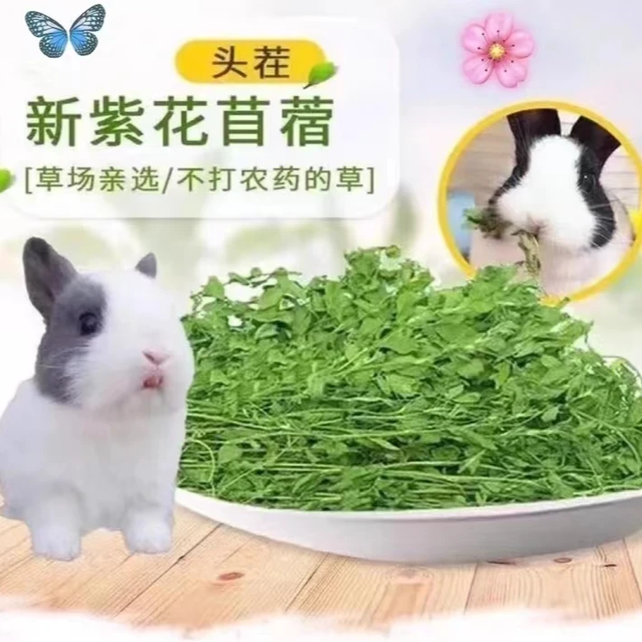 紫花苜蓿草毛重一斤兔兔干草宠物仓鼠荷兰猪龙猫干草包邮