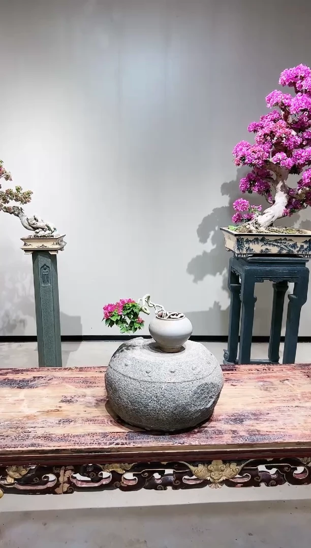 【闪购商品】小桃红