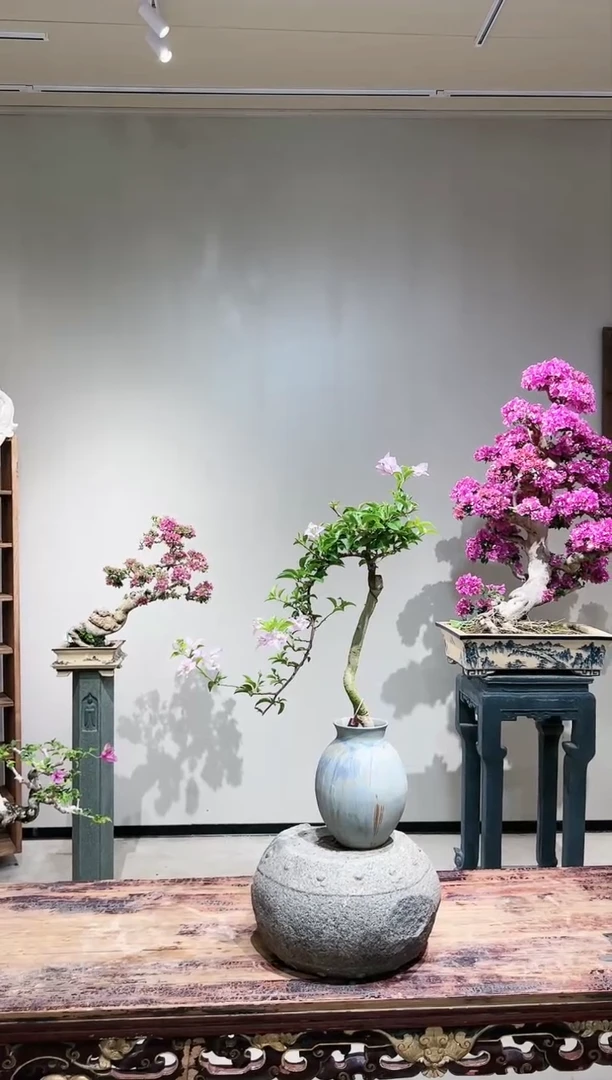 【闪购商品】苹果花