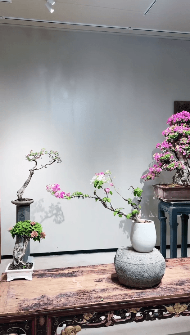 【闪购商品】章红缨
