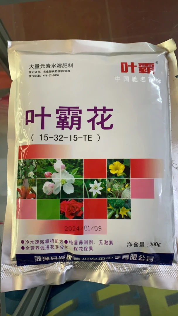 1叶霸 叶霸花 氮磷钾促进花芽分化