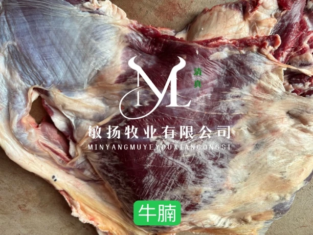 敏扬首播 特价福利 牛腩肉 1.5公斤装真空包装现切清真