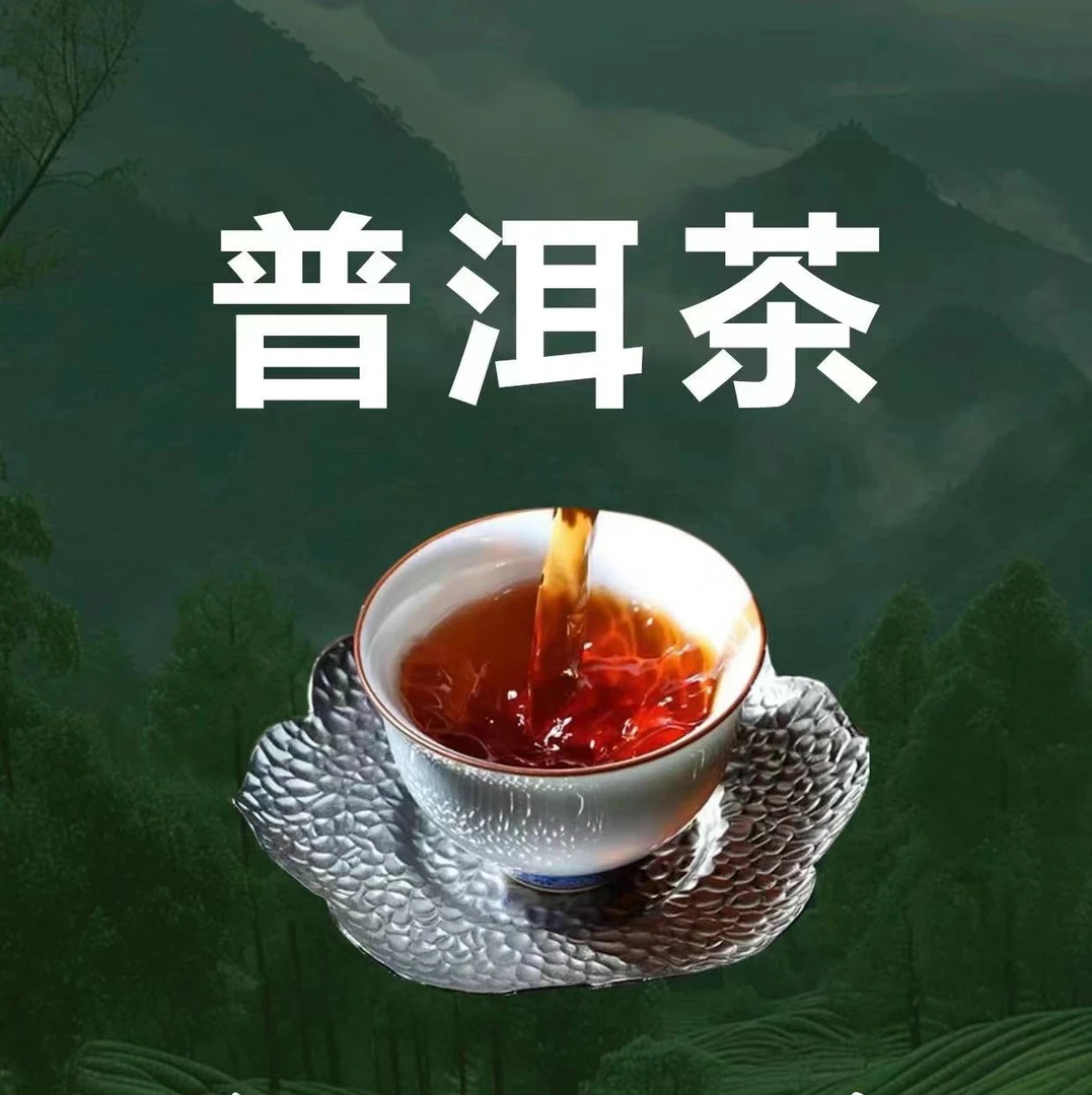 小玉爱喝茶【紫芽生】普洱生茶 140g 正装