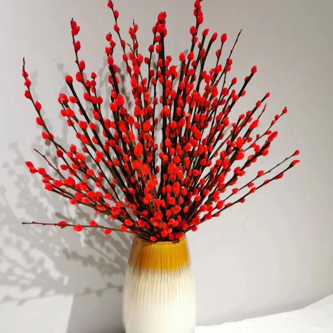 【银柳】颜色可选银柳＆云南基地直发氛围感节日喜庆送礼