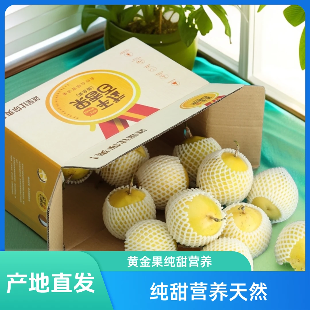 钦蜜9号黄金果纯甜营养天然即食百香果产地直发