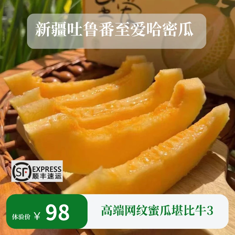高端网纹至爱哈密瓜新疆吐鲁番原产地精选顺丰航空直发