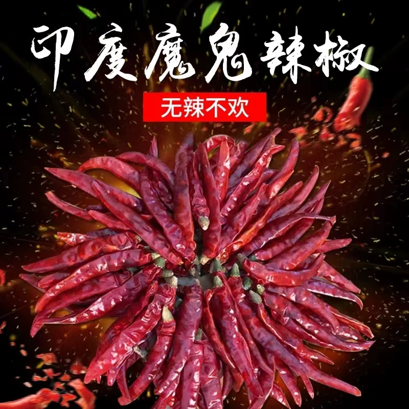 印度椒特辣原味爆辣魔鬼椒家用商用印度椒S17干辣椒农家自然晾晒