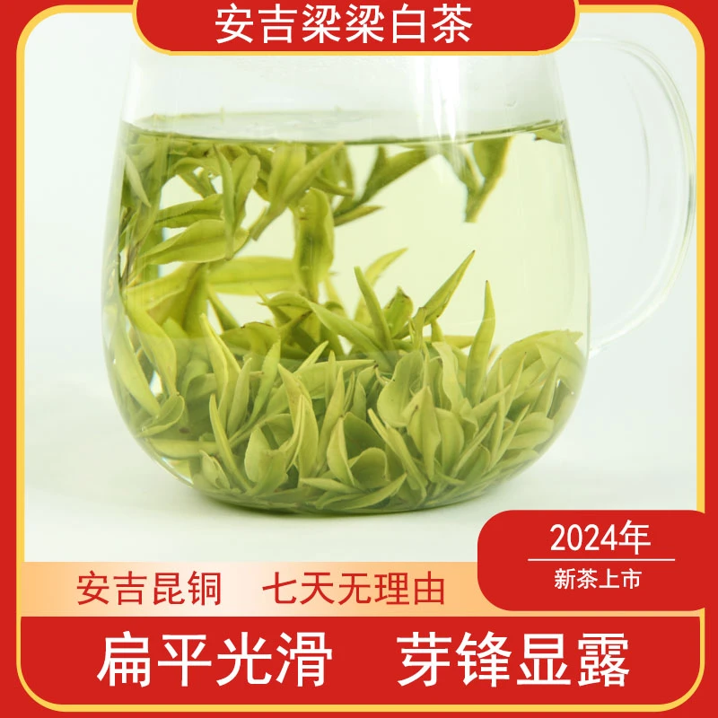 【A77-鲜爽清香型】安吉昆铜头春头采茶  23年新茶送礼高货