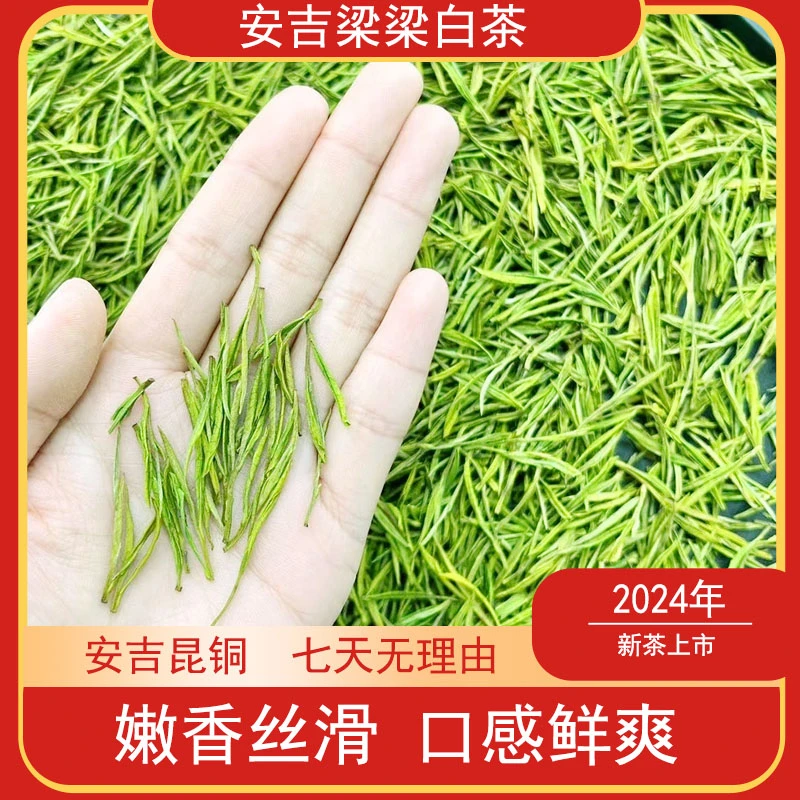 【A88白玉兰花-鲜甜高白型】安吉昆铜高山白茶 23年新茶鲜爽甘甜！