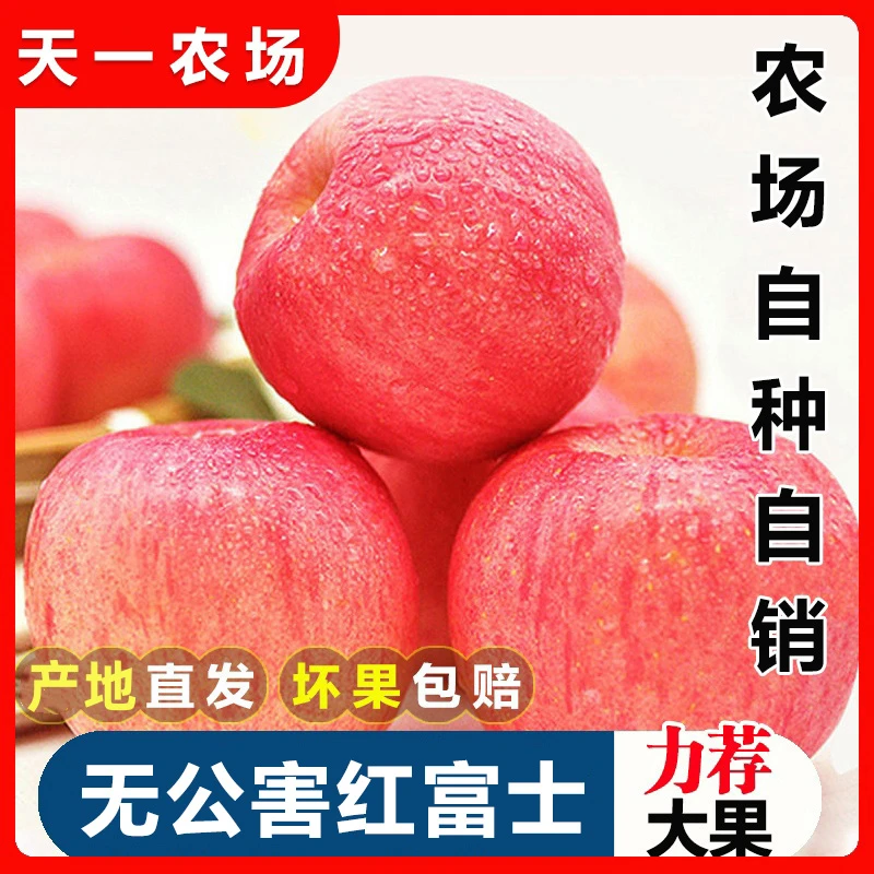 山东天一农场苹果，一口甜，二口脆甜，三口甜到心。