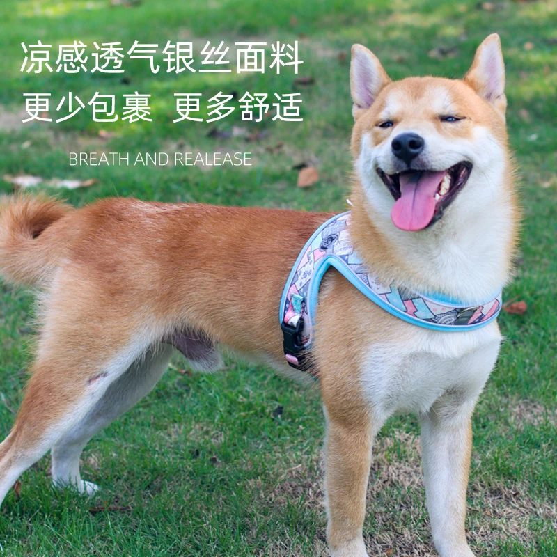 多巴胺牵引绳宠物泰迪比熊中小型犬防爆冲不勒脖防挣脱狗狗牵引绳