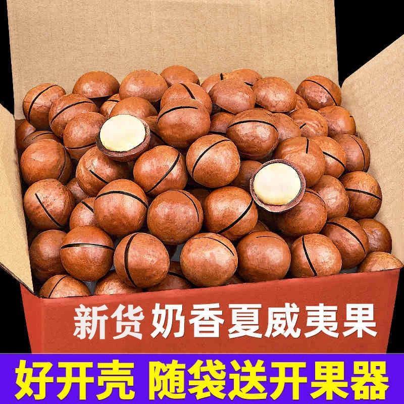 新货大颗粒夏威夷果500g/250g奶油味坚果零食干果原味10g罐装批发