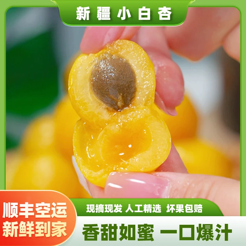 【新疆顺丰空运】托克逊小白杏新鲜应季杏子库车白杏甜蜜多汁3斤起