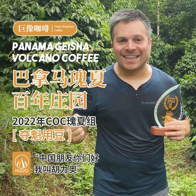 巴拿马瑰夏咖啡豆平替翡翠瑰夏佛手柑风味精选纯正上等咖啡豆