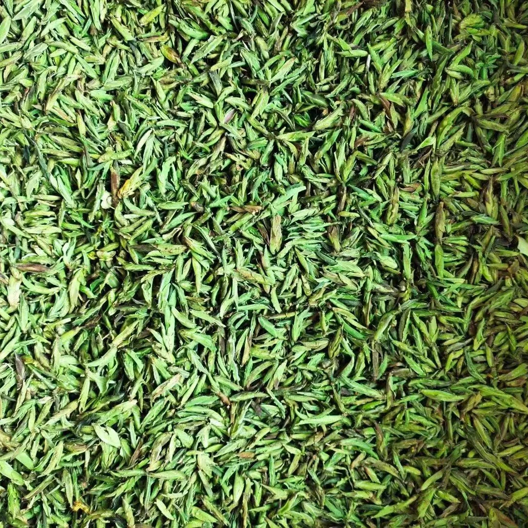 2025永德大雪山古树野生茶鸡嘴春茶尝尝鲜白茶一芽二叶