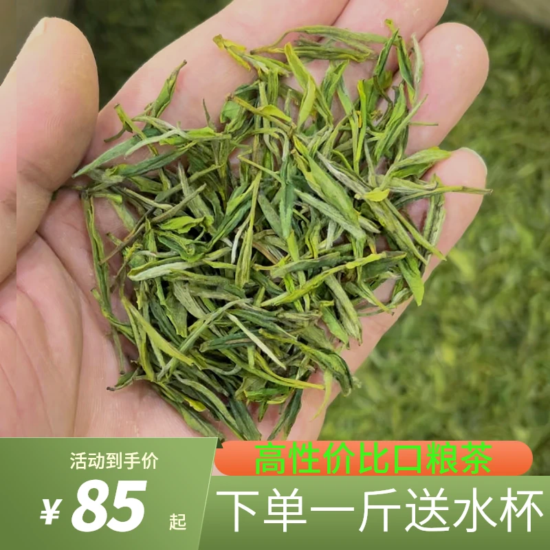 兰香甜2024新茶 B11款 舒城小兰花浓香型 绿茶高兰香明前茶叶回甘