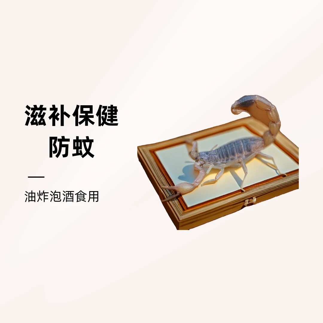 蝎子正宗沂蒙野性十足全蝎煲汤油炸泡酒干蝎子活虫药用打粉