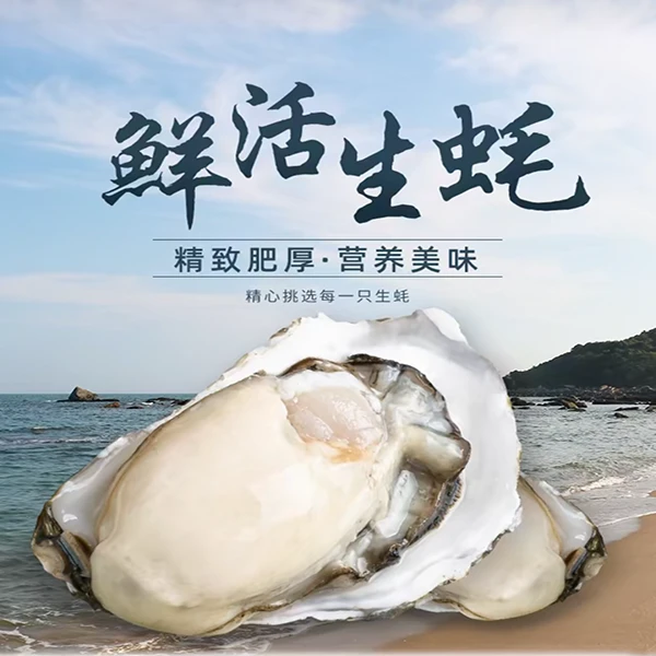 【精品生蚝】福利鲜活海鲜鲜甜肥美无泥沙重5斤包邮(运输开口正常)