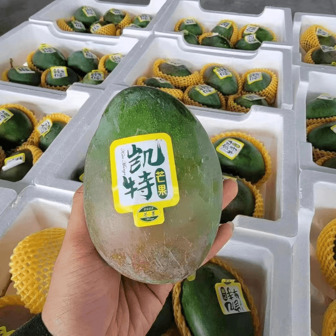 凯特芒果【3斤装】