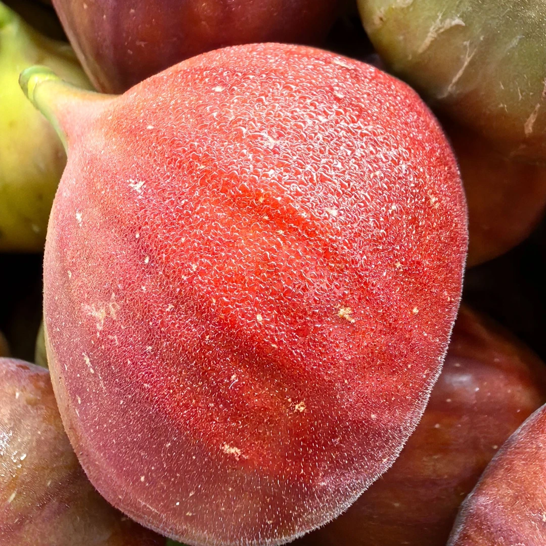 无花果，新鲜无花果【顺丰空运】香甜软糯现采现发，无花果，波姬红