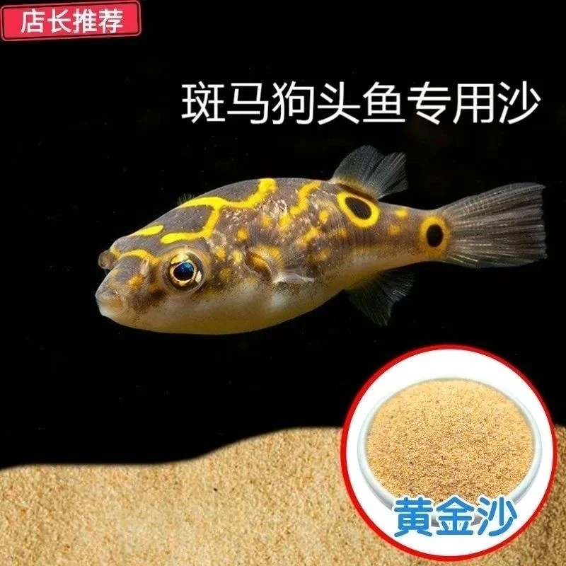 天然黄金沙底砂皇冠斑马狗头鱼专用沙河豚鼠鱼沙鱼缸造景化妆沙