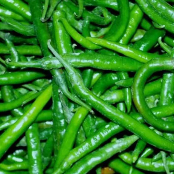 湖南椒500g