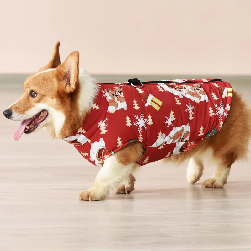 狗狗衣服秋冬装中小型犬泰迪比熊柯基宠物衣服冬季狗棉衣保暖棉服