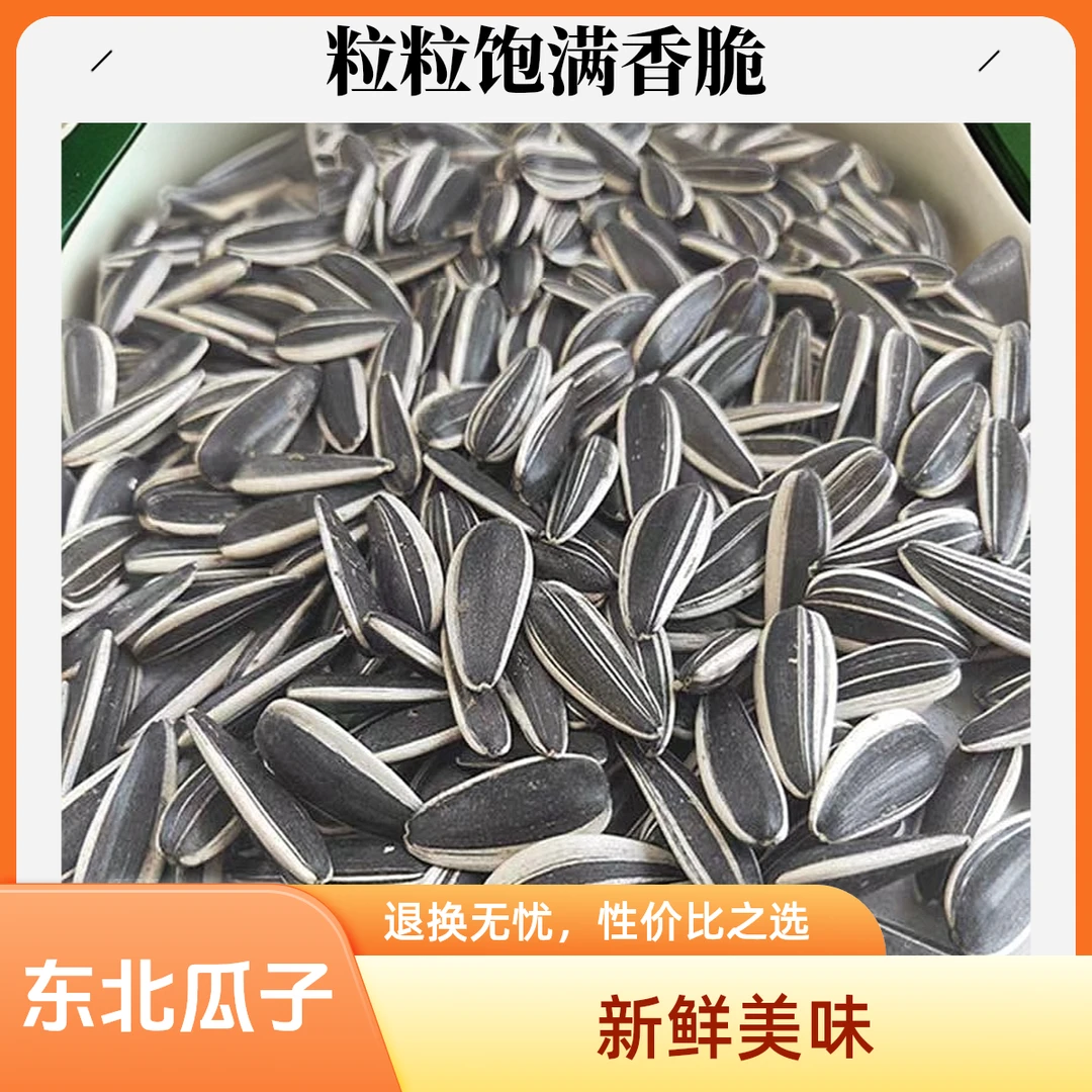 东北新鲜采摘瓜子生熟都有3斤