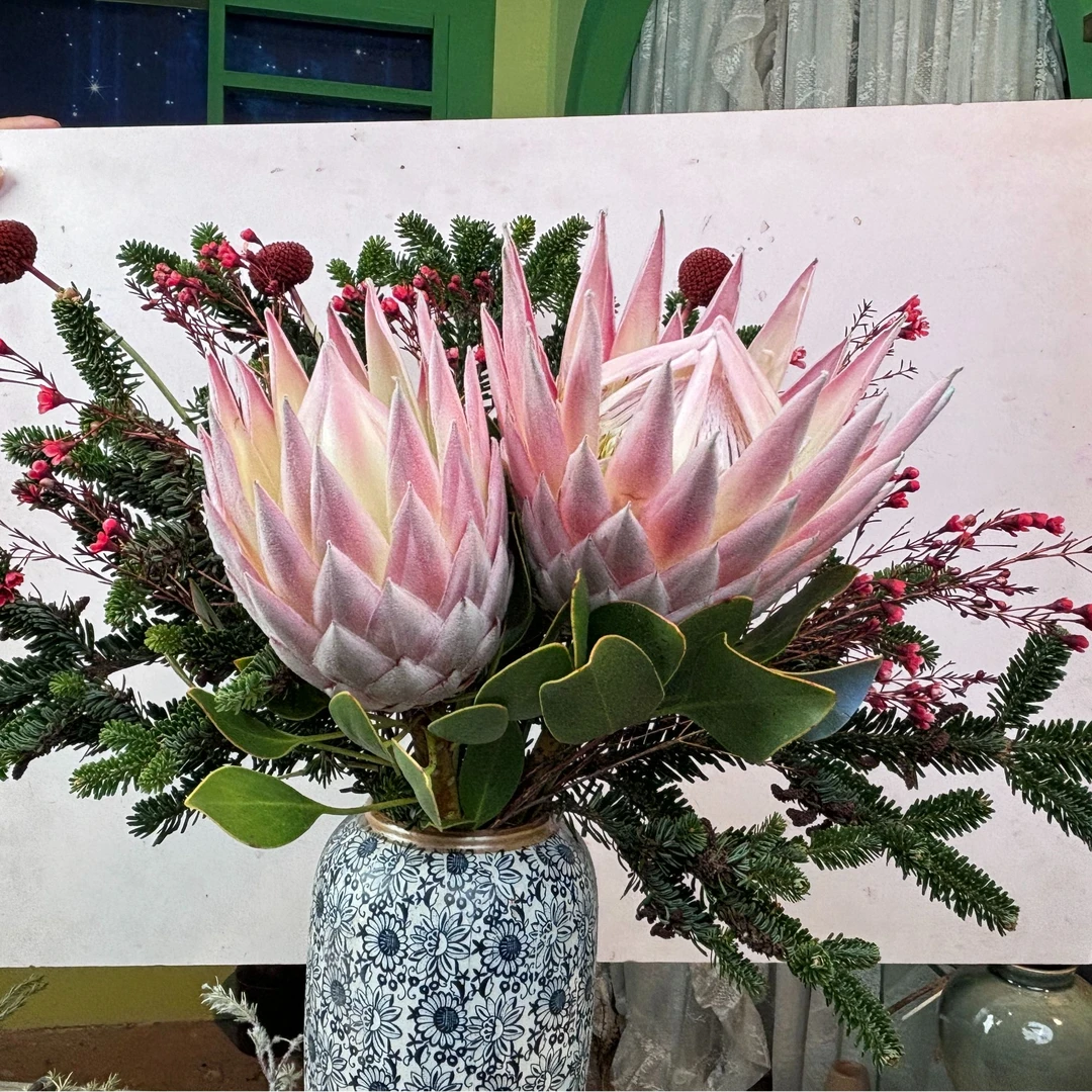【心想事成】帝王花束南非进口鲜花可搭配 可做干花